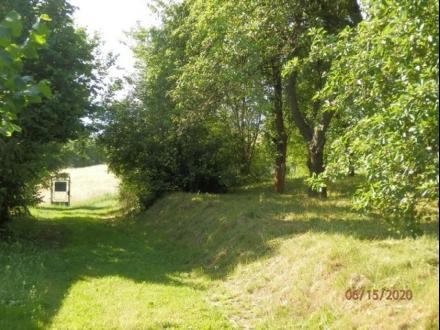 property_photo/359/359-17559600535143.JPG
